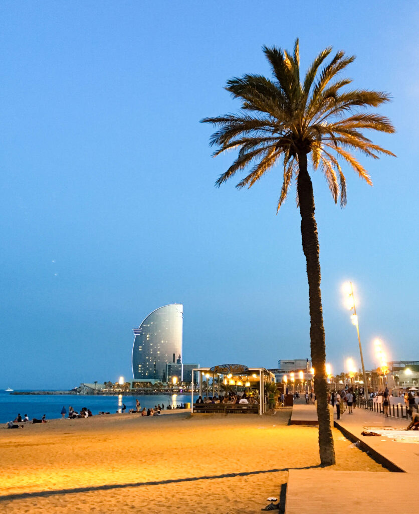 w hotel barcelona beach palm tree