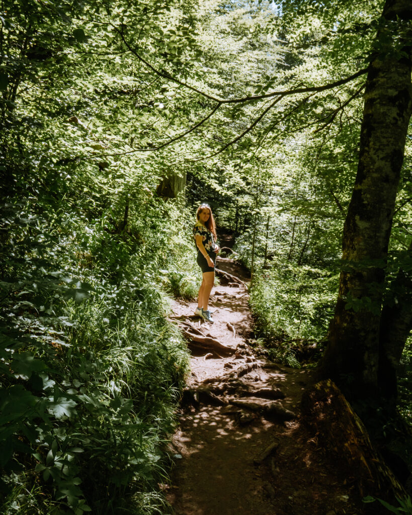 woman on a hiking trail in the forest