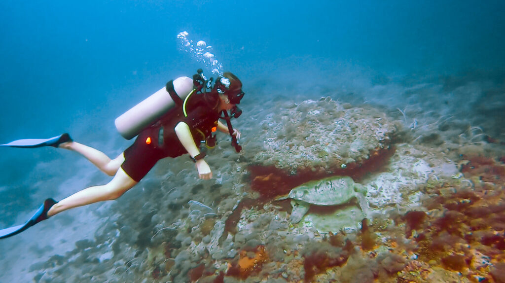 woman scuba diver and turtle on coral reef