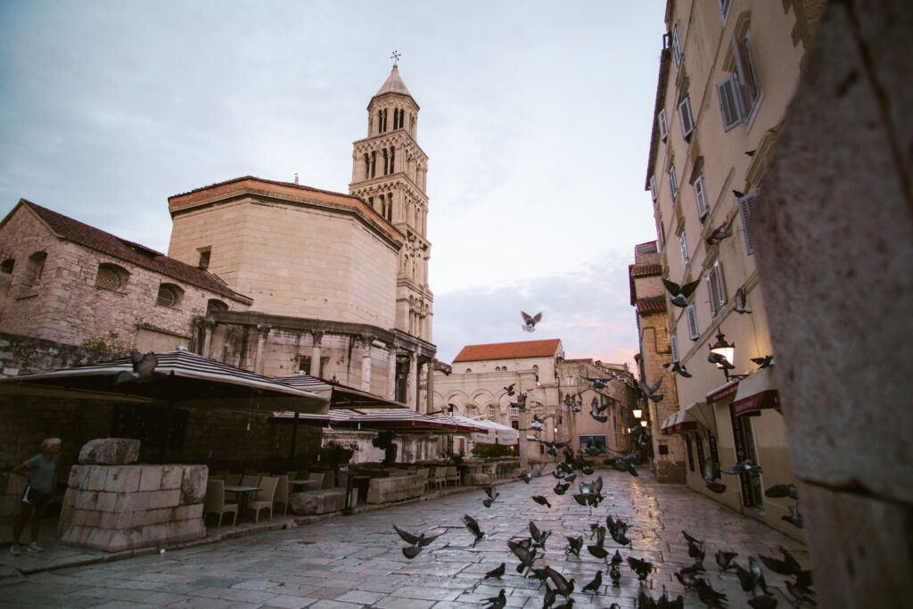 slip croatia old town with birds at sunrise