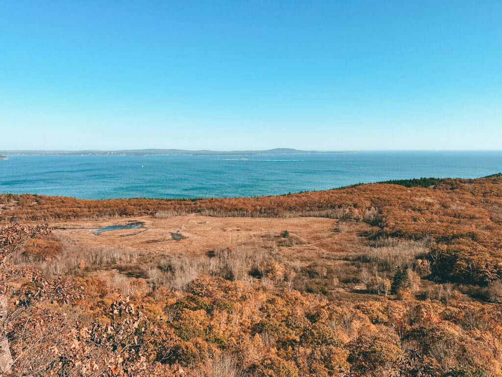overlooking frenchman bay in acadia with fall foliage 